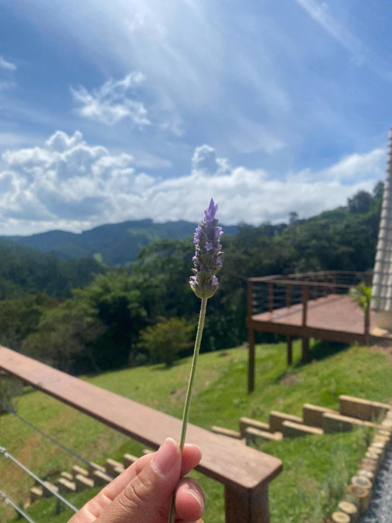 Chales Fazenda Floresta Das Araucarias Cunha Eksteriør billede
