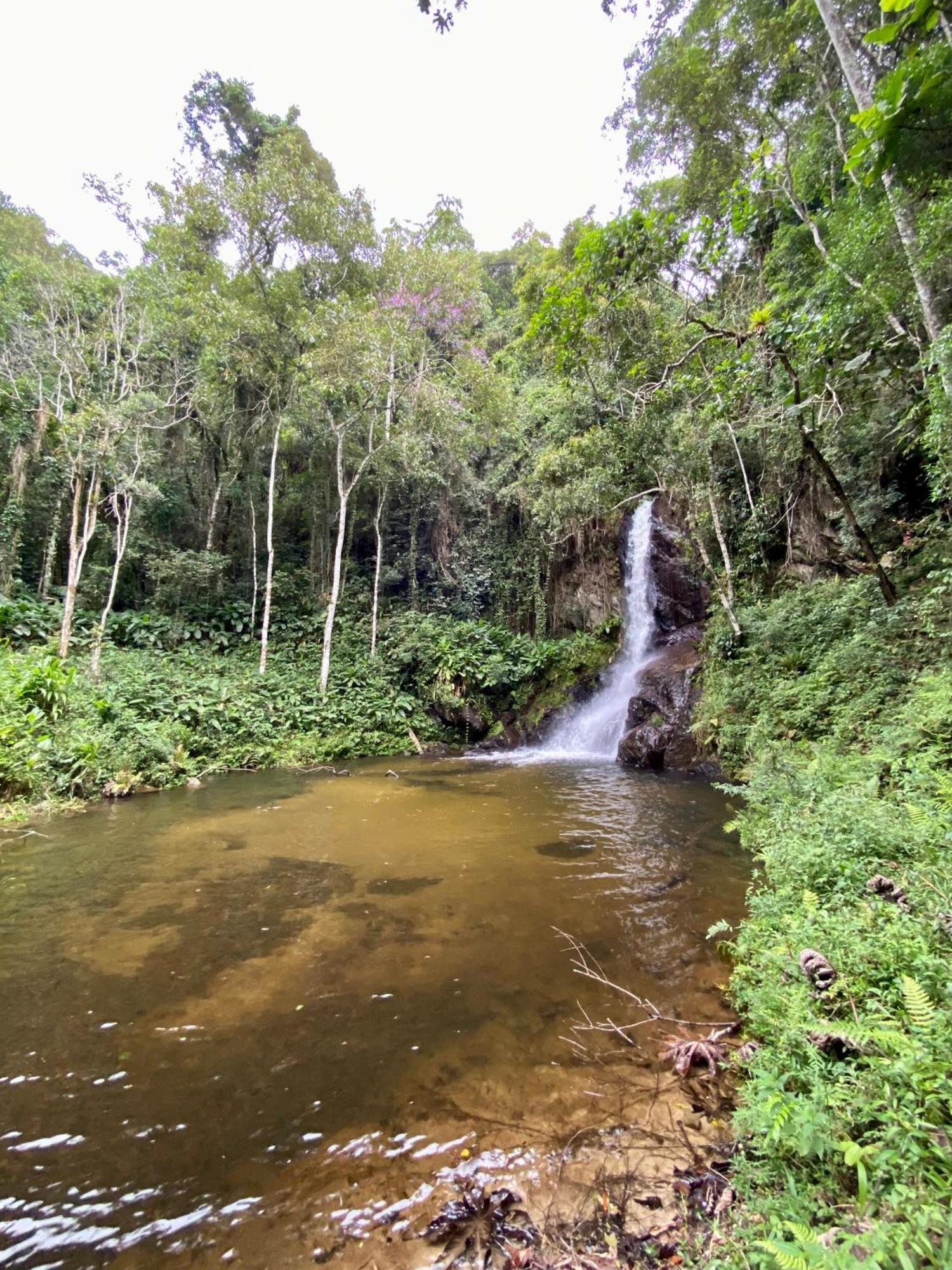 Chales Fazenda Floresta Das Araucarias Cunha Eksteriør billede