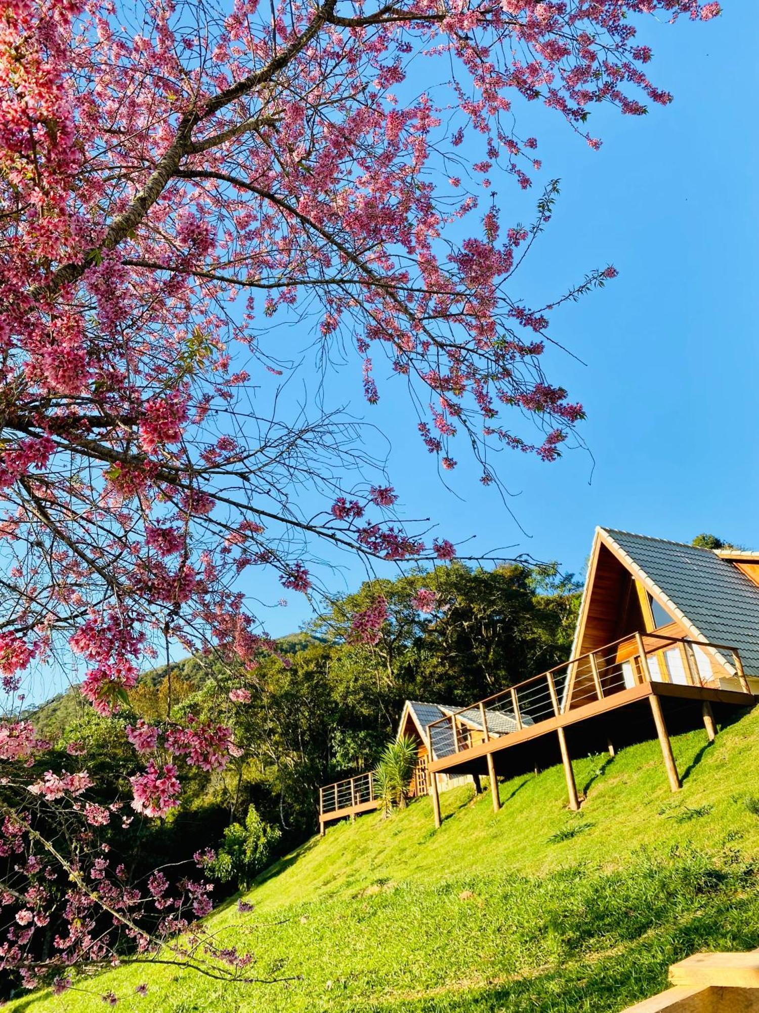 Chales Fazenda Floresta Das Araucarias Cunha Eksteriør billede