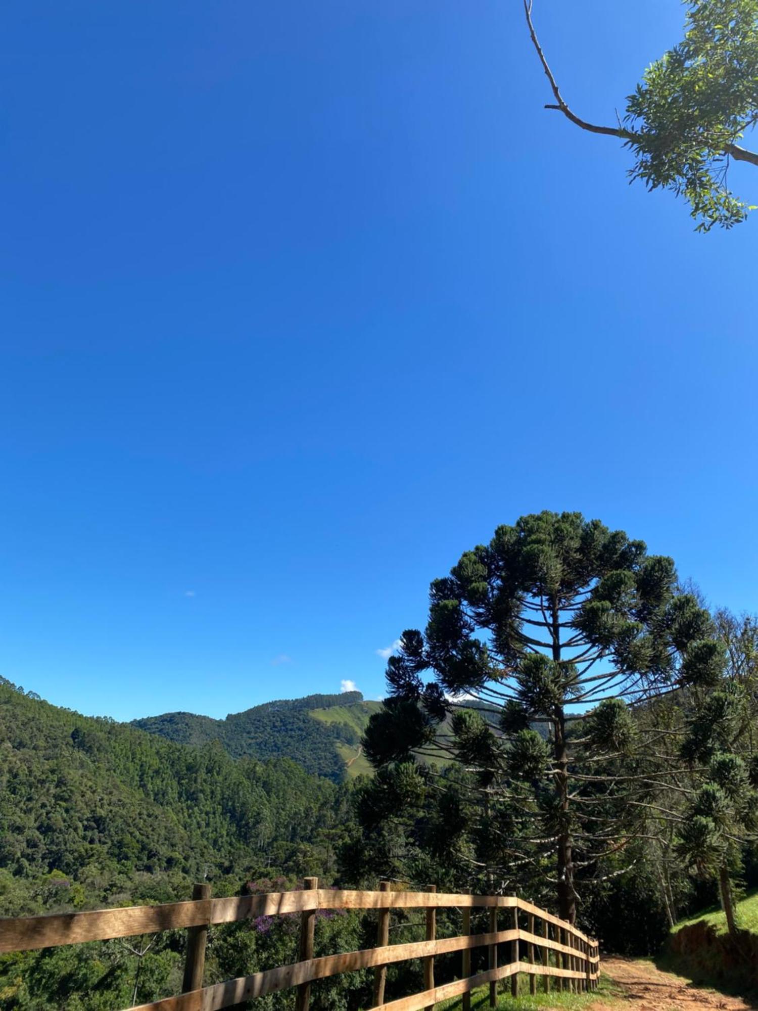 Chales Fazenda Floresta Das Araucarias Cunha Eksteriør billede