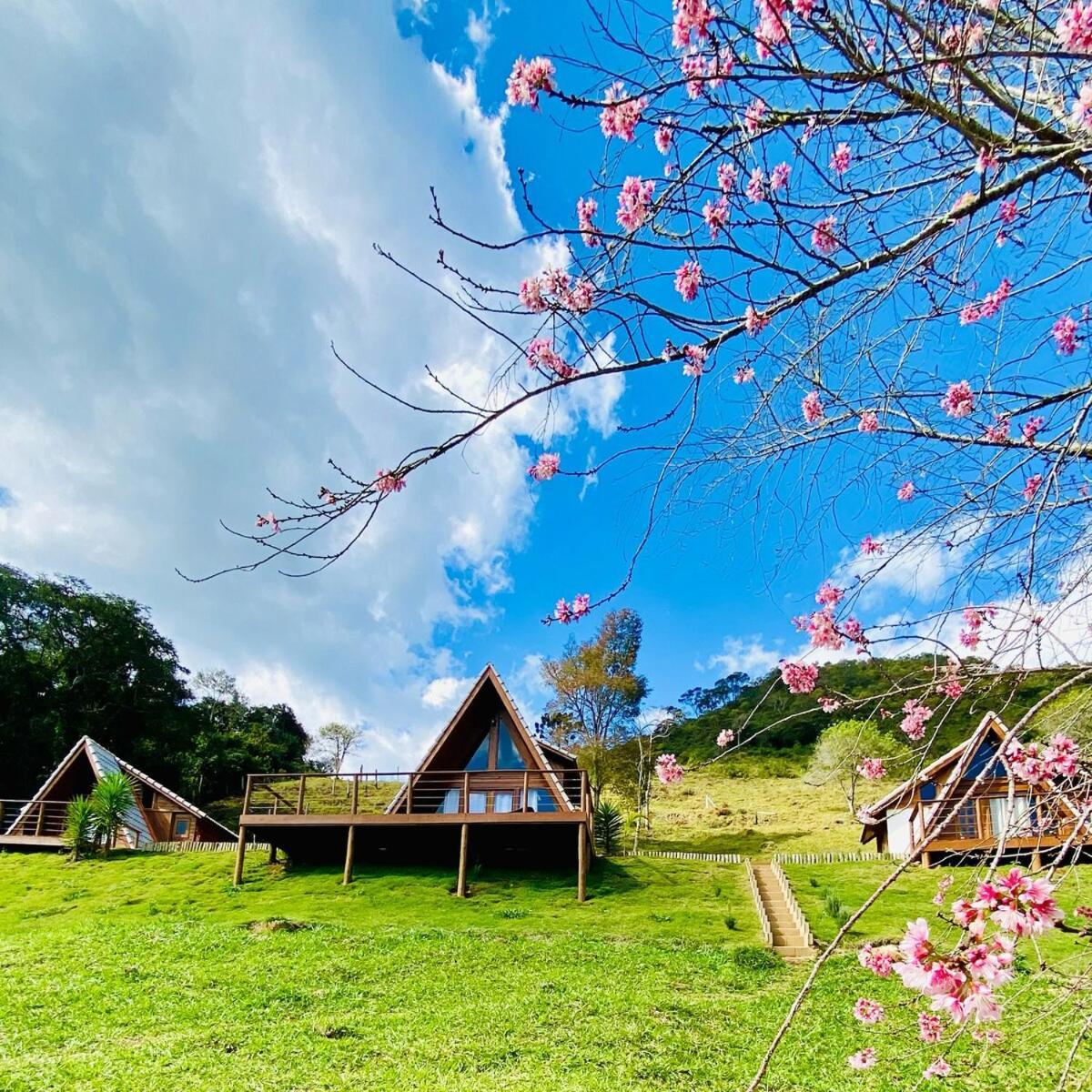 Chales Fazenda Floresta Das Araucarias Cunha Eksteriør billede